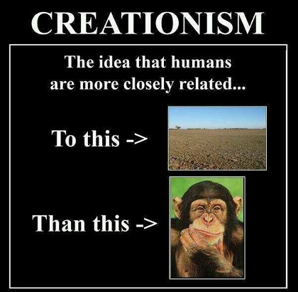 creationism vs evolution related to dirt